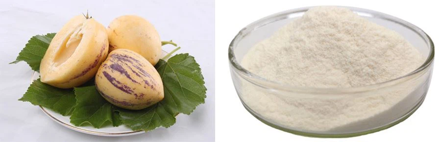 Dried Ginseng Fruit Powder