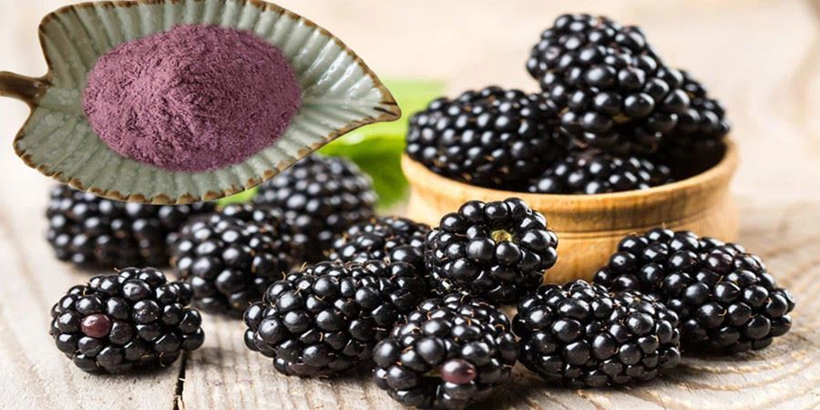 Blackberry Powder
