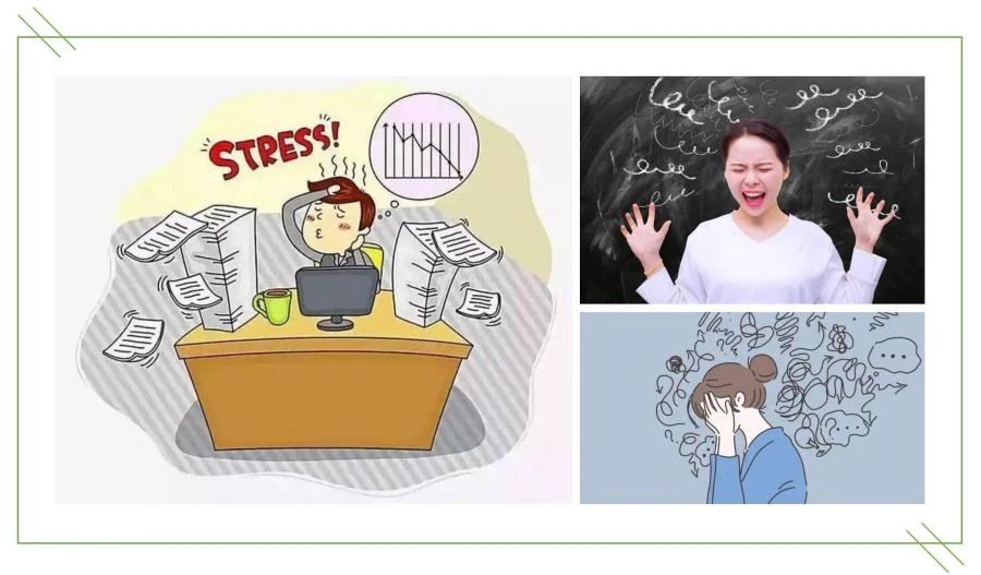 The Best Natural Herbs for Stress and Anxiety