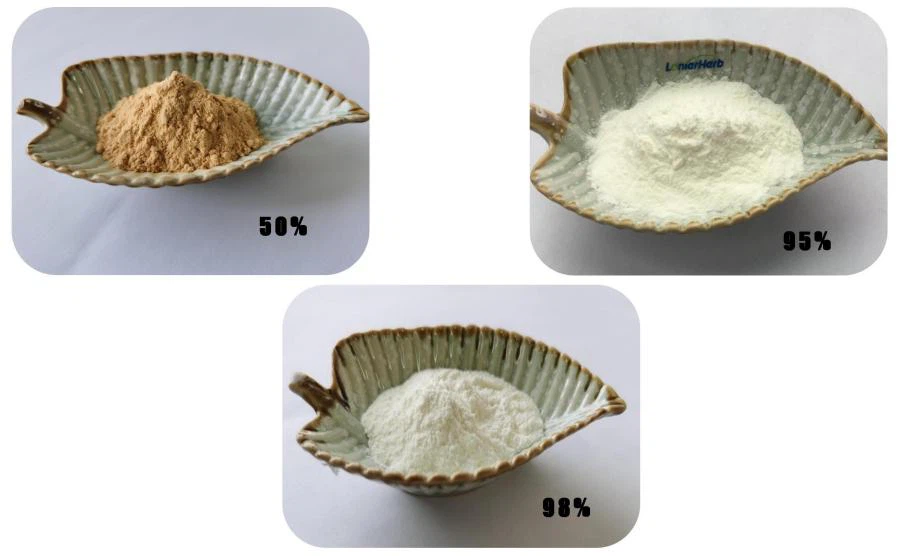 Black Pepper Powder, Piper Nigrum Extract supplier