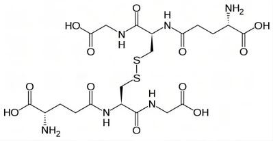 Oxidized Glutathione Oxidized Glutathione