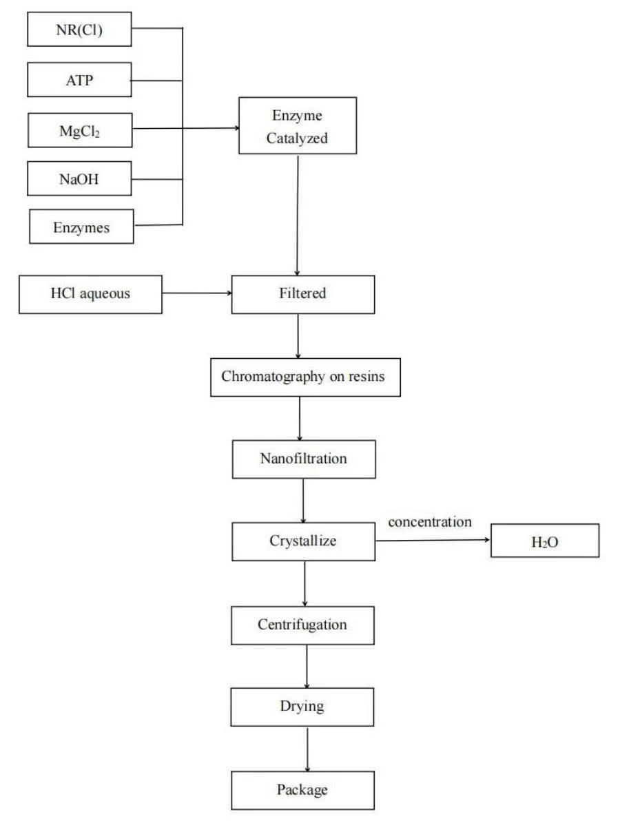 Flow Chart for NAD Powder Flow Chart for NAD Powder