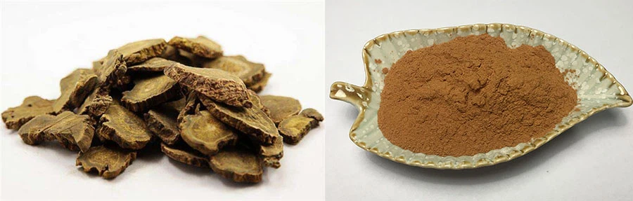 Rhubarb Root Extract