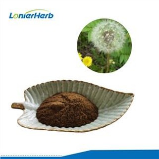 Екстракт от глухарче на прах