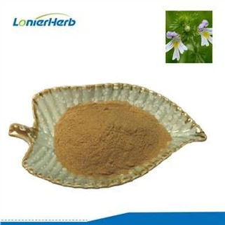 Eyebright екстракт на прах
