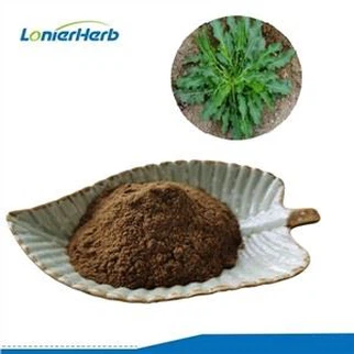 Екстракт от корен от жълт лапад