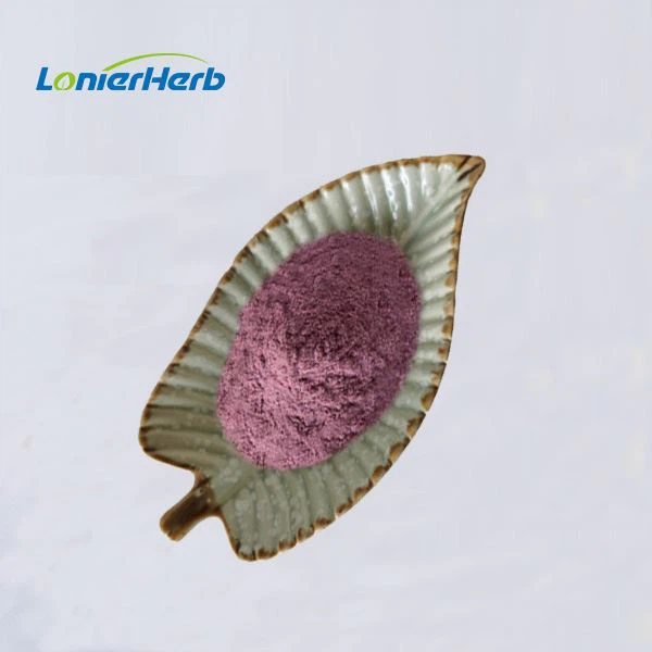 Blackberry Fruit Powder