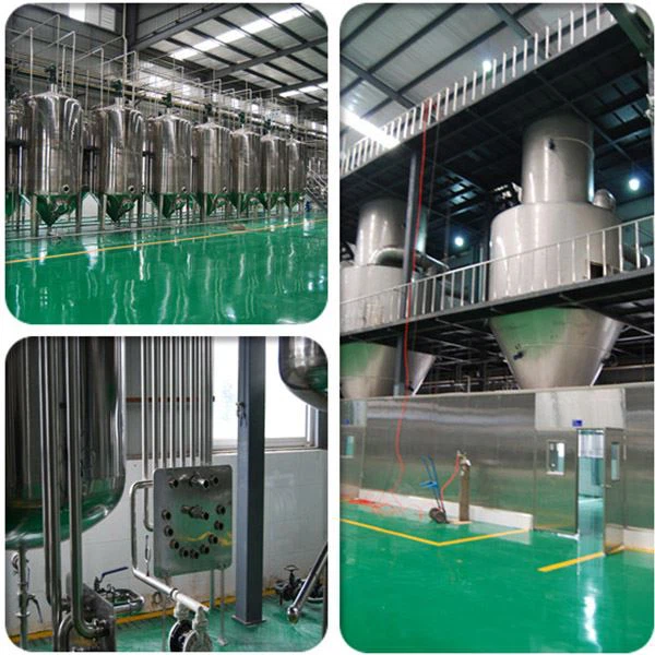 Perilla Frutescens Extract