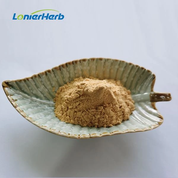 Piper Nigrum Seed Extract