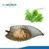 Centella Asiatica на прах
