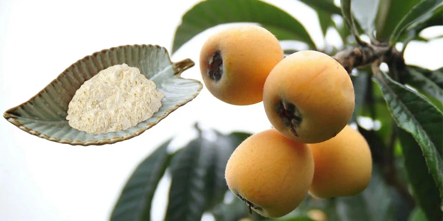 high quality Loquat Powder high quality Loquat Powder