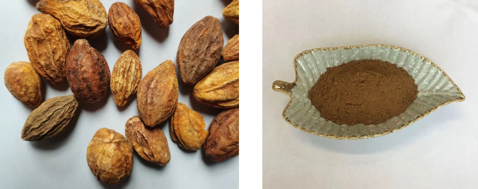 Lonierherb Terminalia Chebula Fruit Extract Lonierherb Terminalia Chebula Fruit Extract
