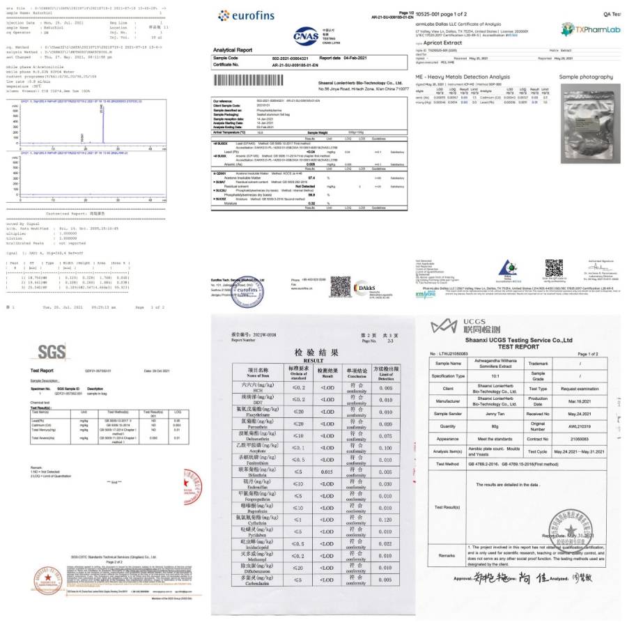 Test Report by Third Part 1 Test Report by Third Part 1